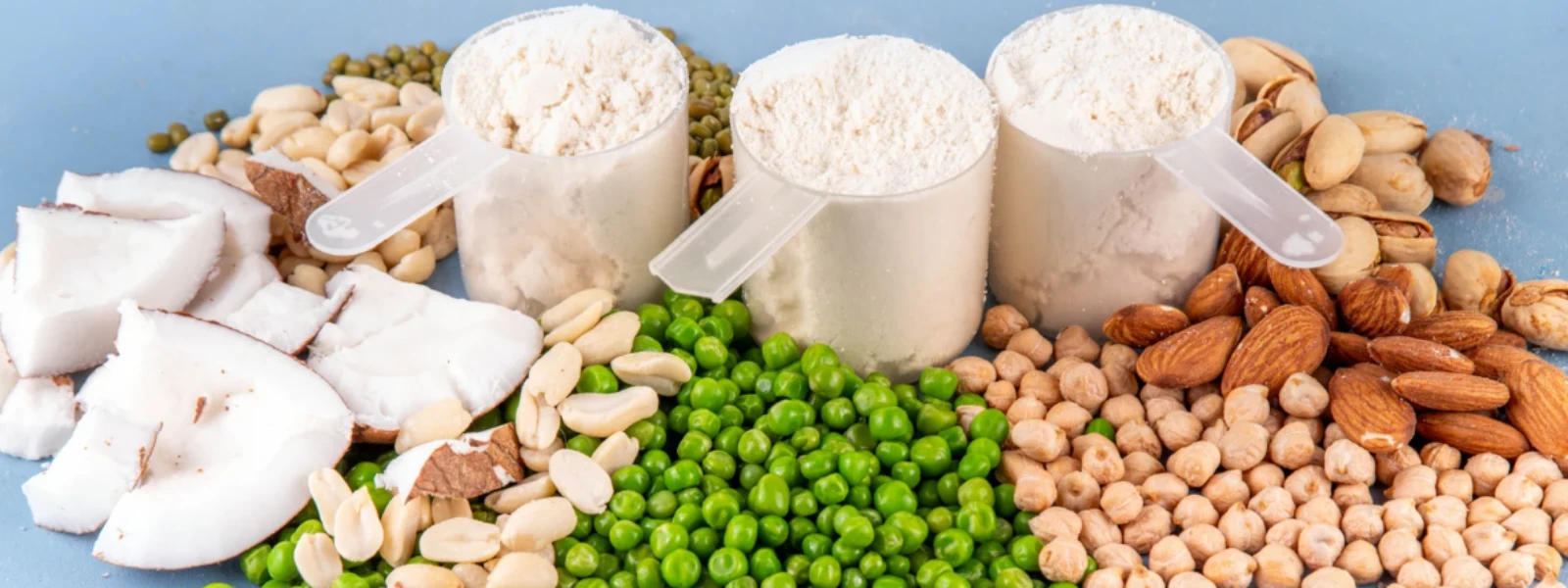 How to Transform Your Body with Vegan Protein Powder - Vegan Protein Powder For Endurance And Energy With Magnesium Content